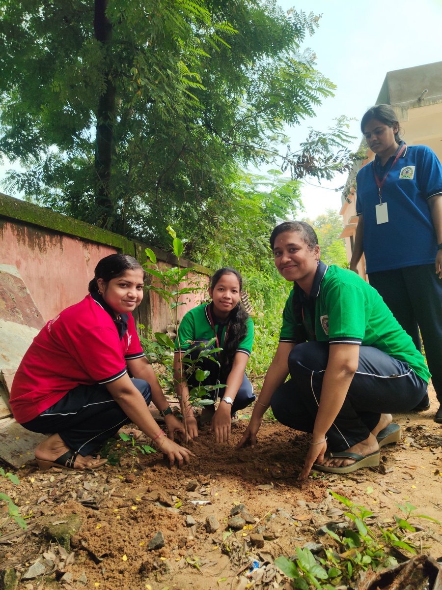 AngulDiet's tweet image. On PM’s birthday, DIET Angul &amp;amp; SBI Chhendipada joined hands for #EkPedMaaKeNaam 🌳
From SBI staff to DIET faculty &amp;amp; student teachers—everyone planted with purpose. 🌱

🤝 Collaboration builds a greener future!
#DIETAngul #PlantationDrive #GreenCampus