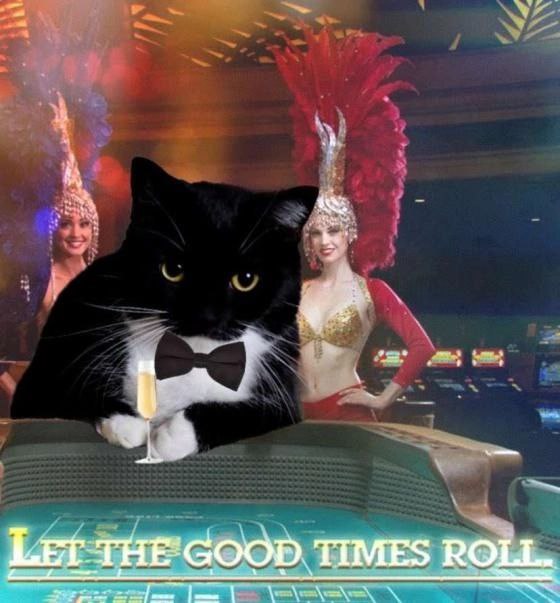 winalways tweet media