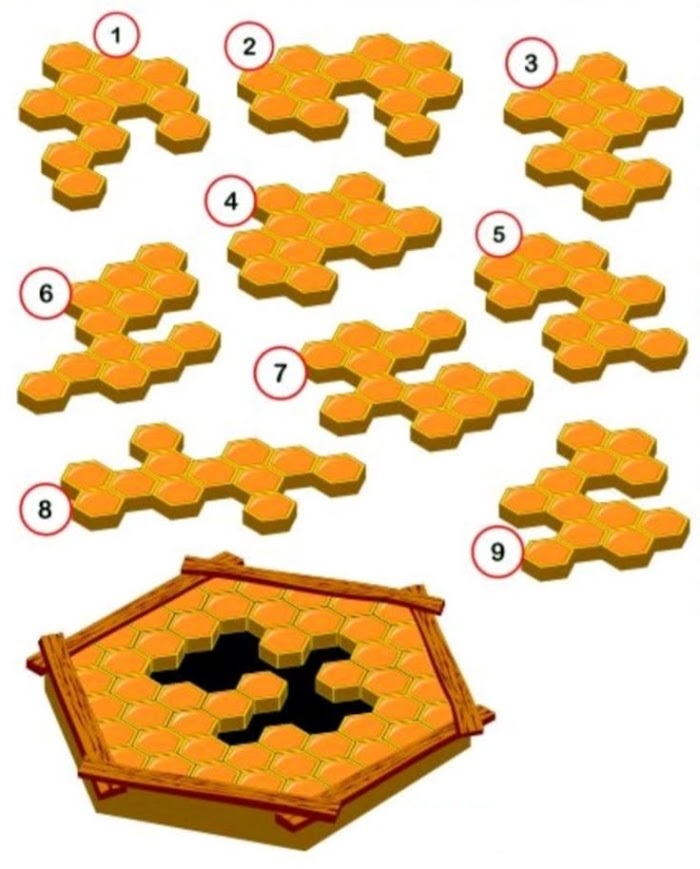 ¿Qué pieza encaja?