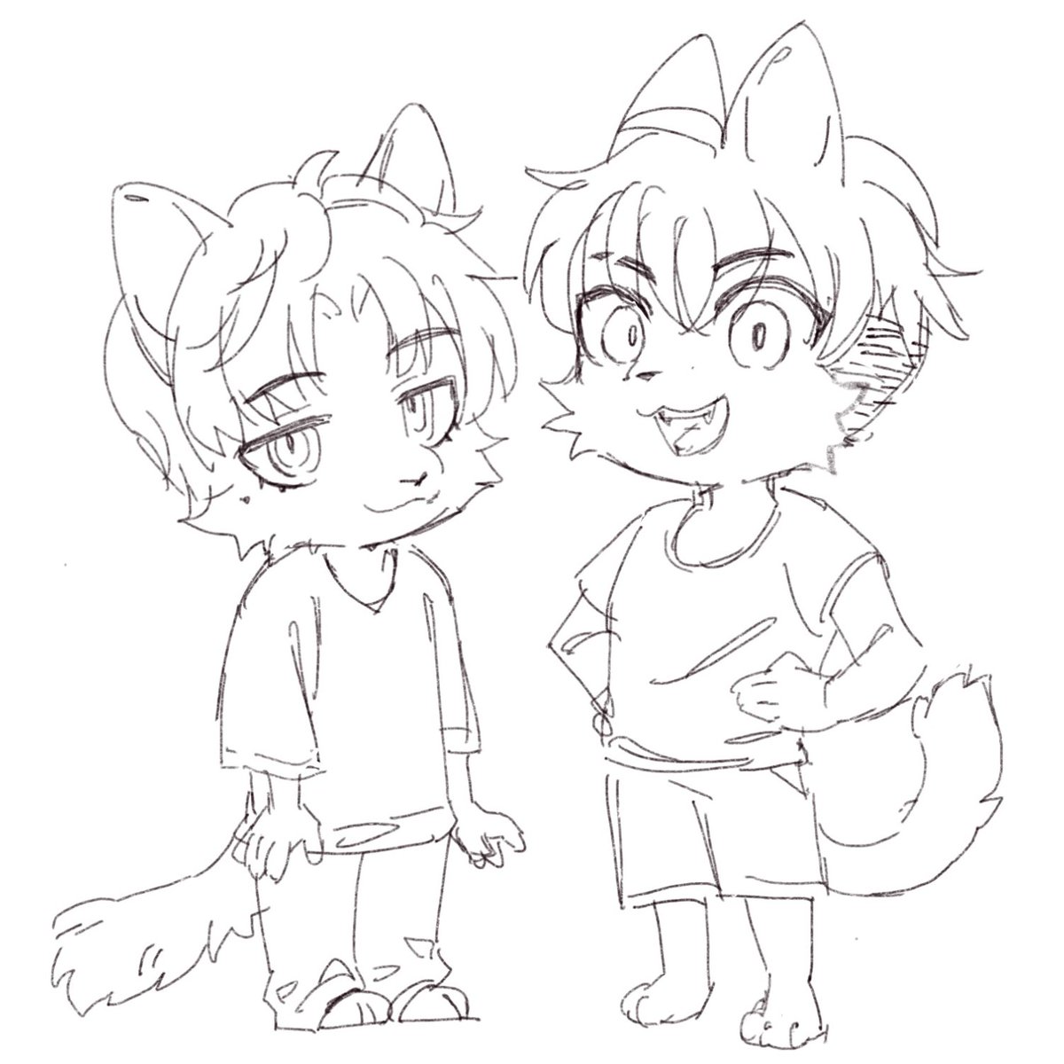 Pacor Studio tweet media