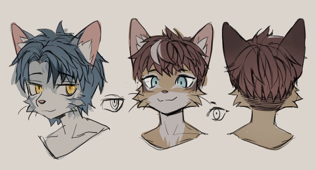 Pacor Studio tweet media