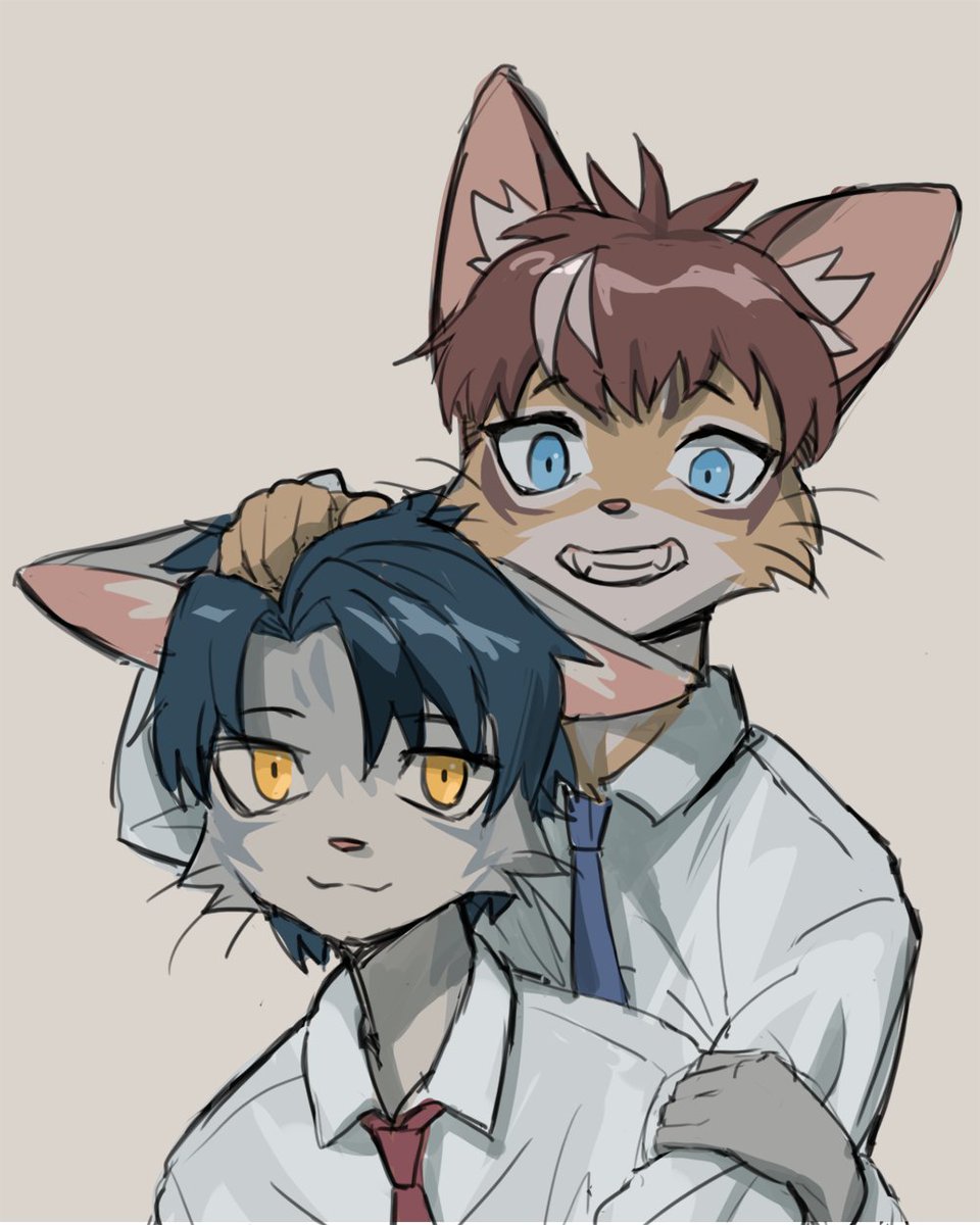 Pacor Studio tweet media