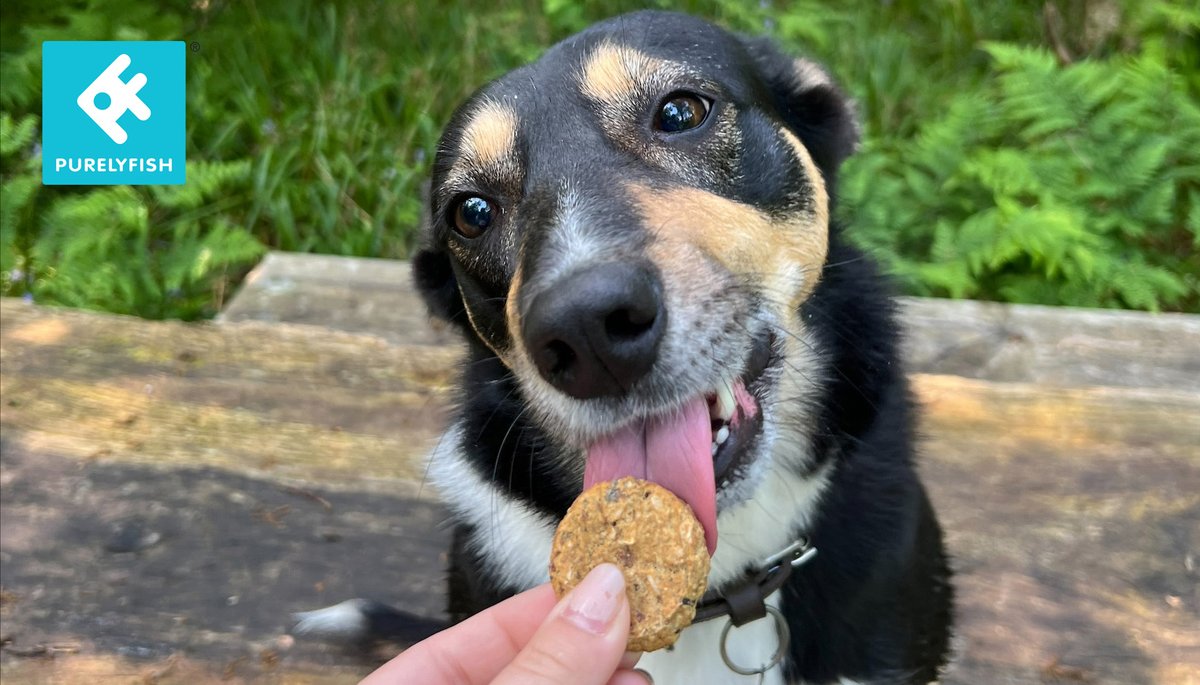 Purely Fish tweet media