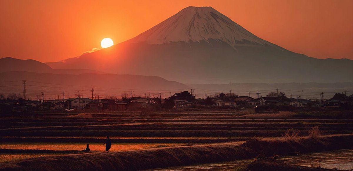 Attack Mag tweet media