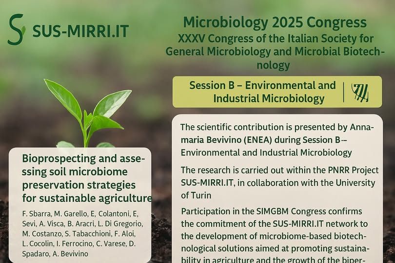 Sus Mirri tweet media