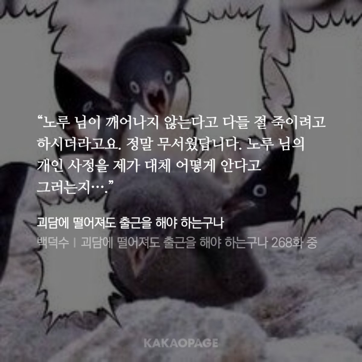 키츠 (@ki_t_s_u) on Twitter photo 