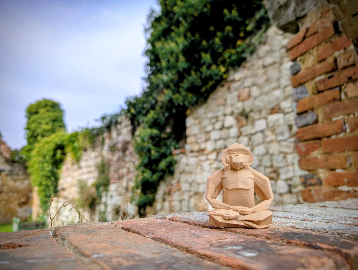 symbi'ent meets old stones
where ivy dreams
through castle walls