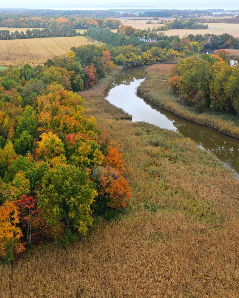Eastern Shore Land Conservancy tweet media