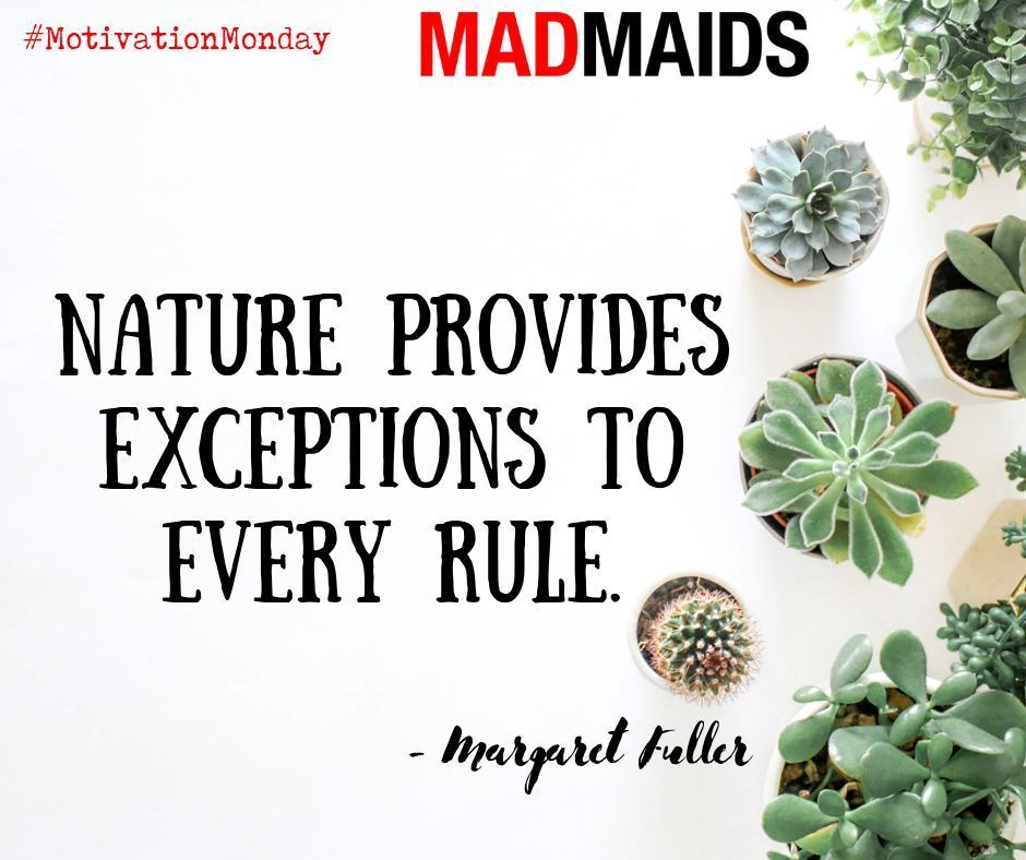 "Nature provides exceptions to every rule." - #MargaretFuller
#cantstopwontstop #determination #yyc #yeg #MadMaids #satisfactionguaranteed #maidservice