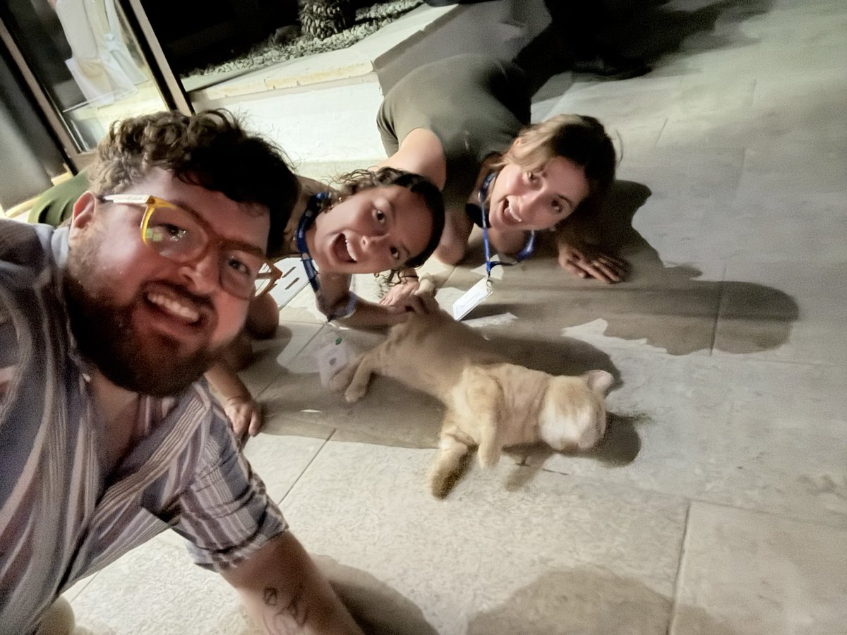 connorhaggarty.bsky.social tweet media