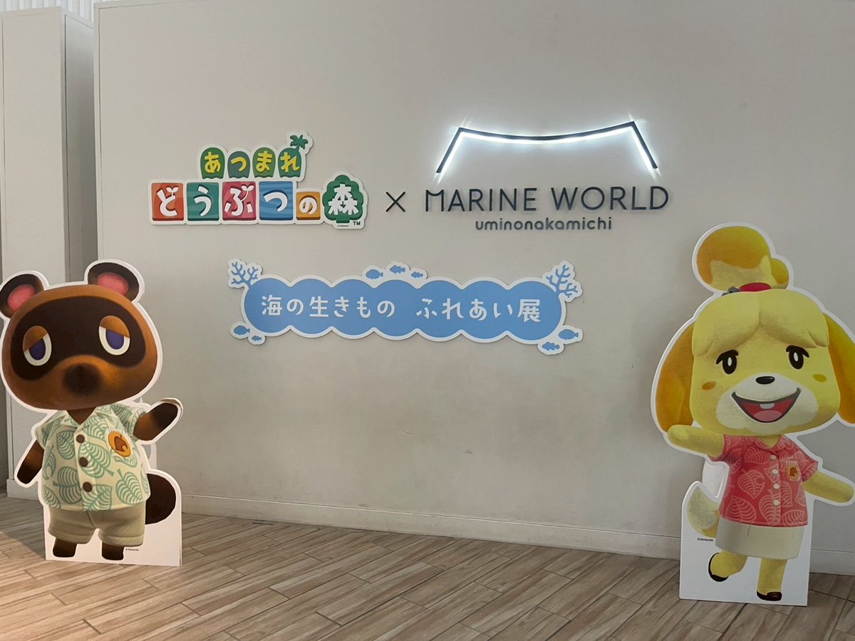 n3232m's tweet photo. 一泊二日で水族館とアスレチックと太宰府天満宮〜

同じタイプのアスレチック、6年前？くらいにしたけど身体の衰えが顕著でやばい、 https://t.co/uA1rhF9UNZ