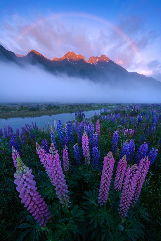 1x_com's tweet image. [832] William Patino: World-renowned Landscape Photographer from New-Zealand - Interview led by Editor HJ Yang. #interview #photographer #NewZealand #landscapephotography #gallery #1xmagazine