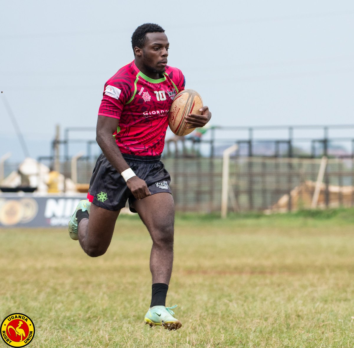 Fat Cats Podcast 🏉🎙️ tweet media