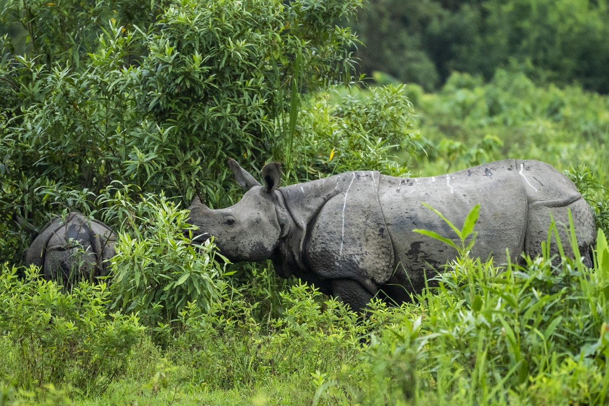 AFD_en 🇫🇷 🇪🇺 tweet media