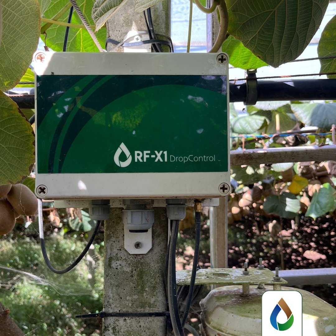WiseconnEurope's tweet image. Presso la Società Agricola Satrico, vicino Latina, #WiseConnEurope ha installato la tecnologia #DropControl sul kiwi. Con la raccolta ormai alle porte, una gestione accurata dell’acqua rappresenta un supporto fondamentale per portare in campo frutti di qualità superiore💧🥝