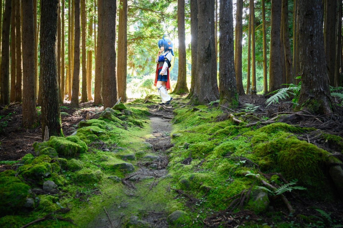 めふぃ tweet media