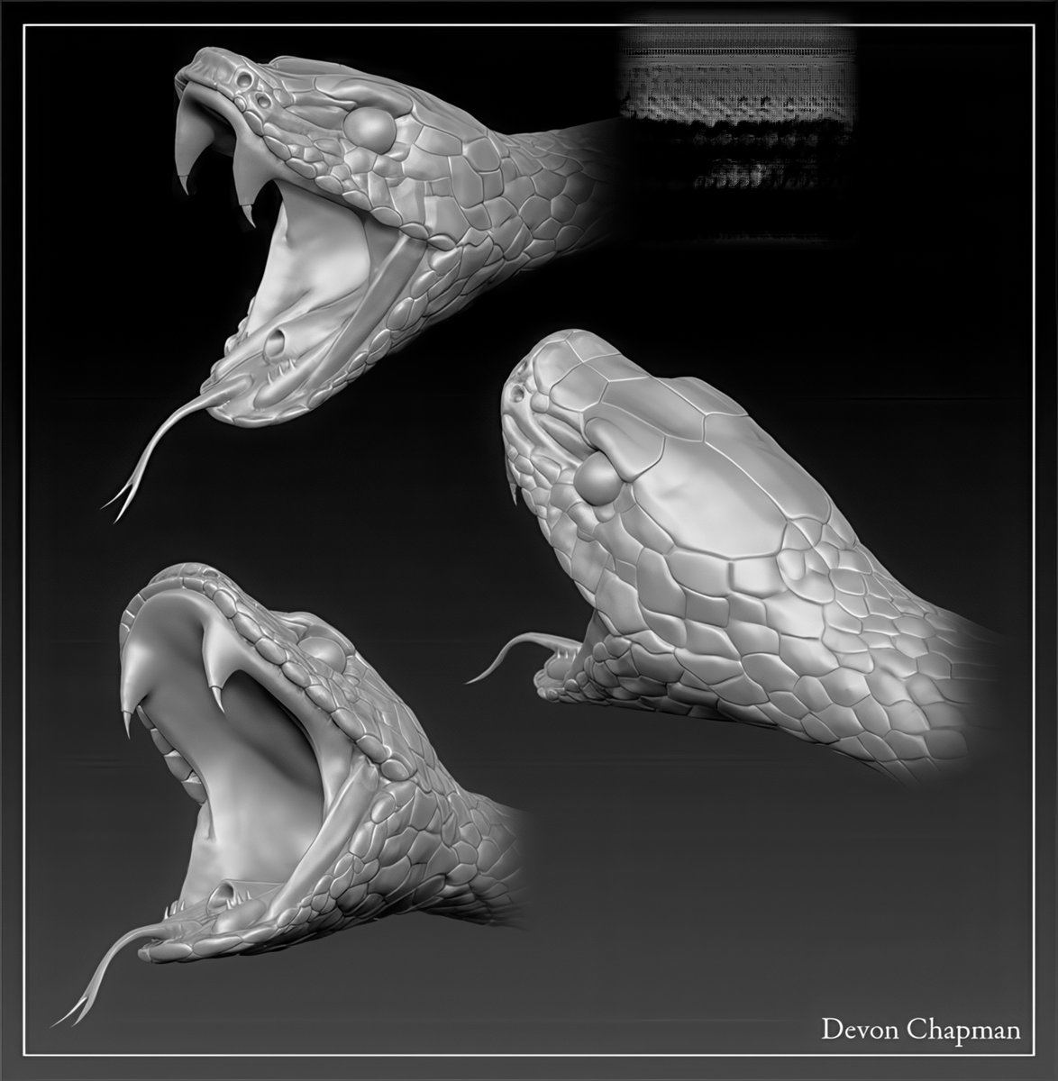 How are you, gentlemen artists? And I will share with you #references and images on sculpting #Anatomy #Animals Pack №14 #3d #gamedev #3dart #hand #modeling #3DModel #sculpting #leg #dog #gameart #zbrush #horse #snake #ecorche #sculpture #muscles #chest #ears #neck #cat