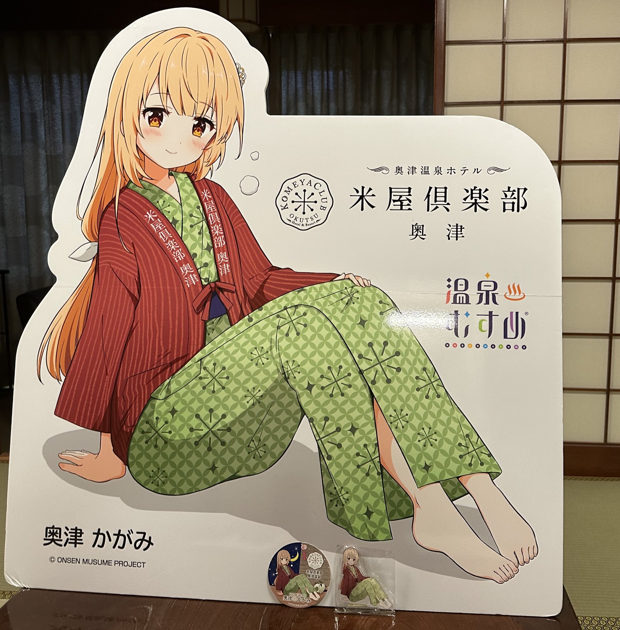 温泉むすめ 奥津かがみ 抱き枕カバー 新品 かがみちゃんファンには