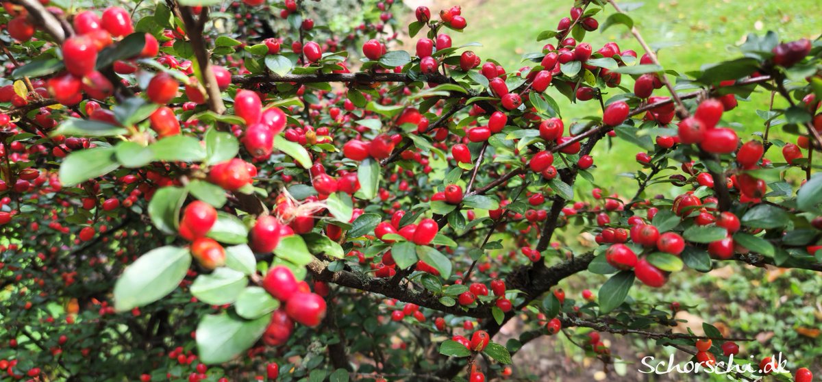 Ich wünsche euch allen einen wunderschönen Montag und einen guten Wochenstart! ☀️😊