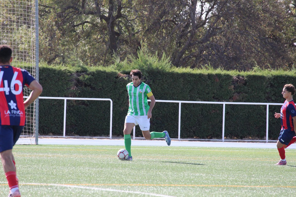 Leones de Castilla tweet media