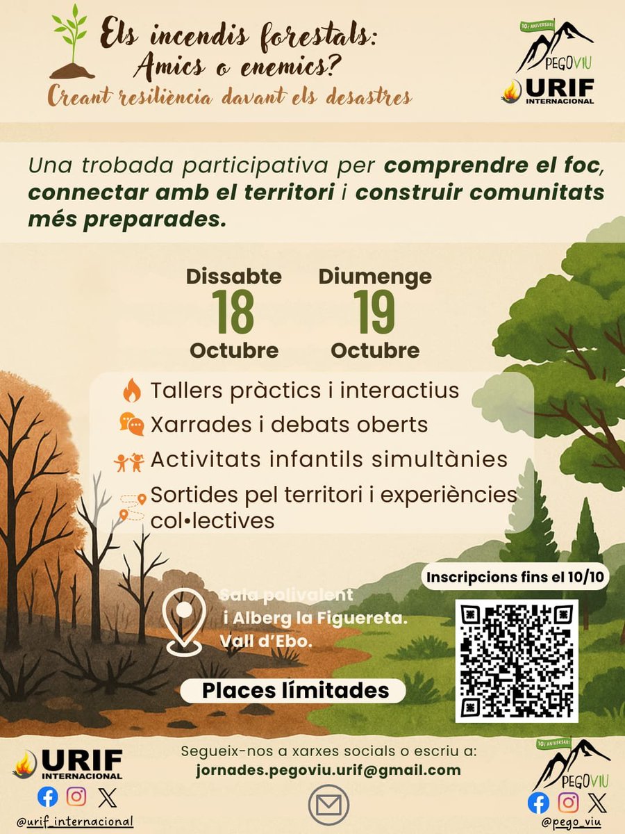 Isabeau Ottolini tweet media