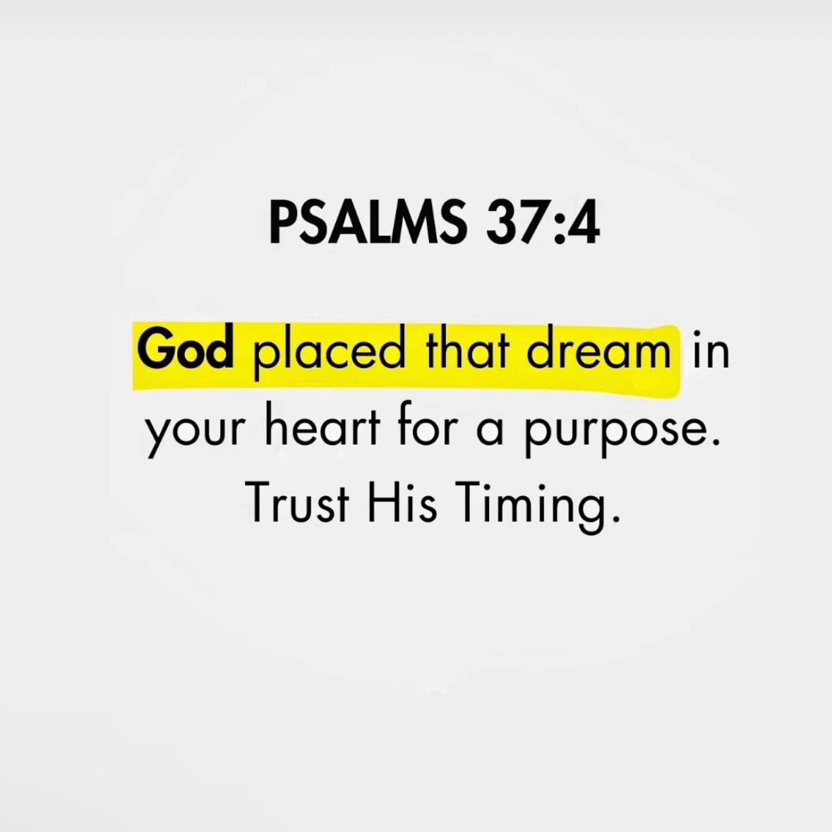 Bible 365 (@bible365_) on Twitter photo 