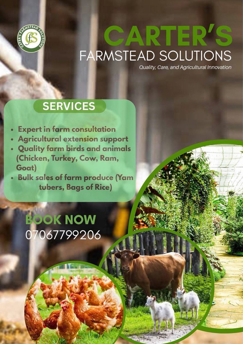 𝒜𝐵𝒜𝑀𝐼 𝐸𝒟𝒜 tweet media