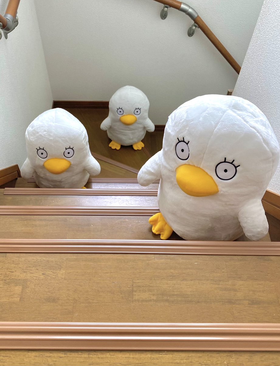 てぽてぽてぽ…
#銀魂