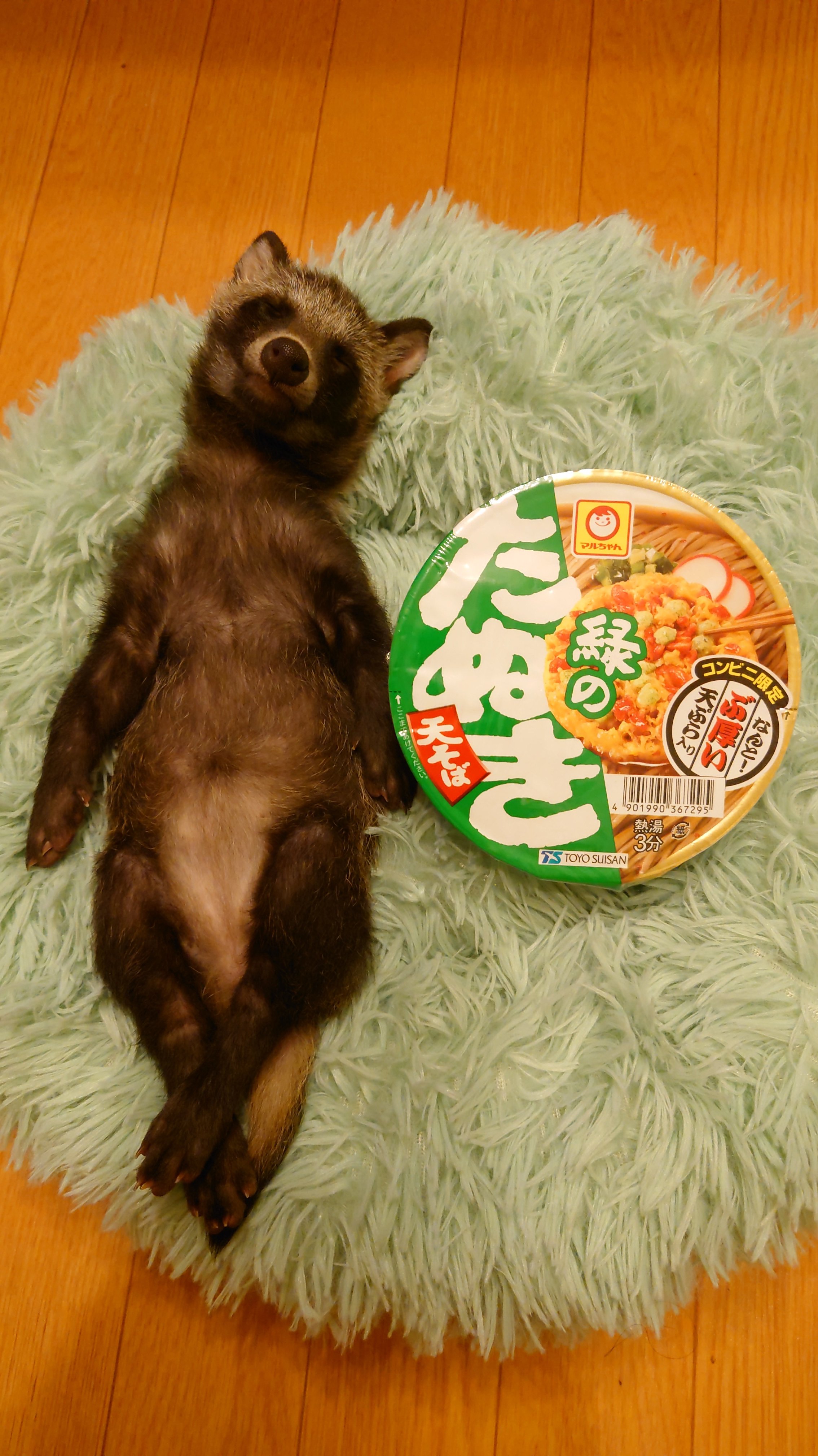 たぬきさん専用 8pcs-pusher-ass-y-9246436-for-