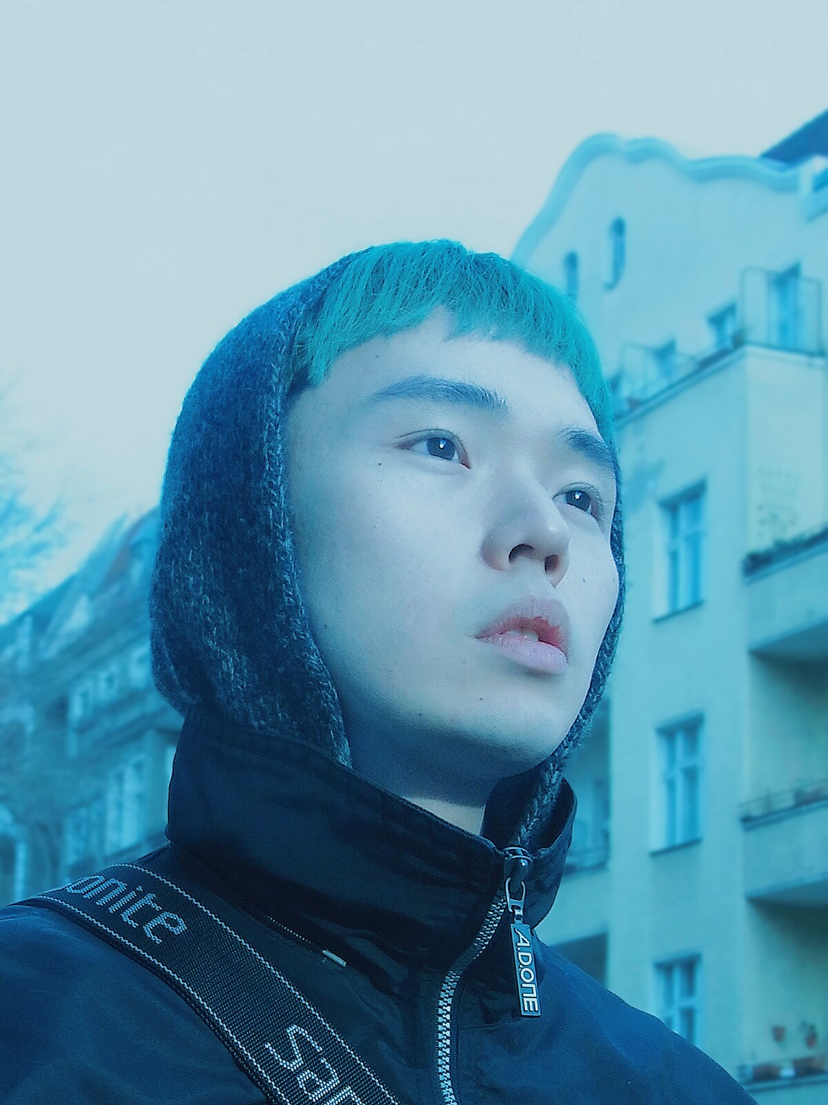 24AW 'Y.A.R.N.' エルテレサ c1e04731a5e5e2cd528b1c452b74a0