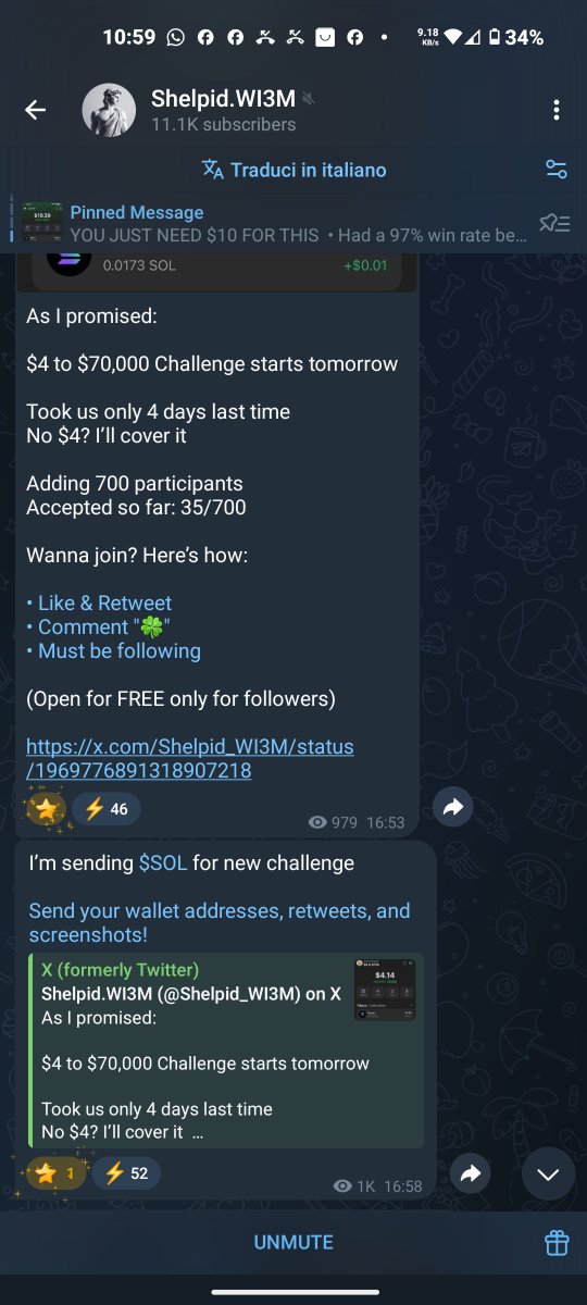 Il Viandante ( The Wayfarer ) tweet media