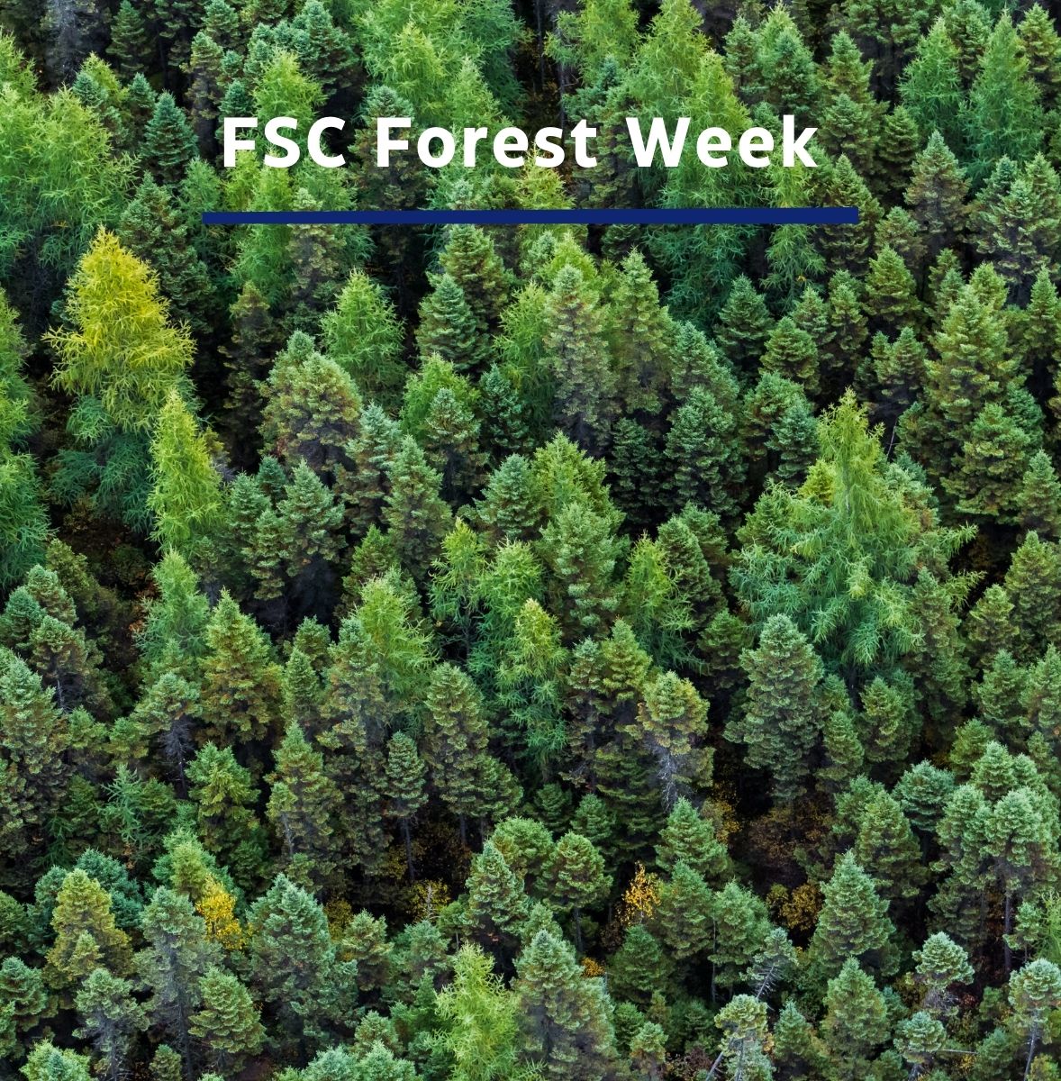 UK Paper Industries tweet media