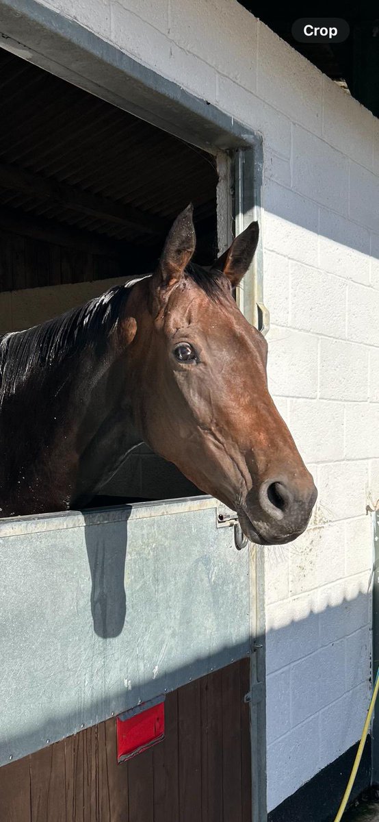 K&M Racing tweet media