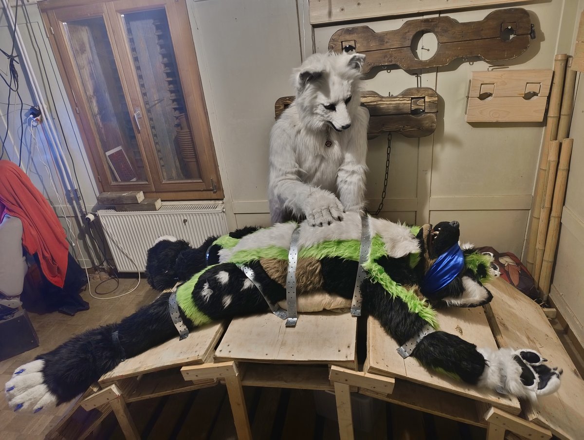 ZarumFox and <a href="/NaughtyBerk/">NaughtyBerk 🇩🇪🇳🇱 🔜 Infurnity 🇹🇼</a>!