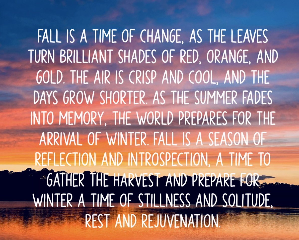 Susan McNamara tweet media