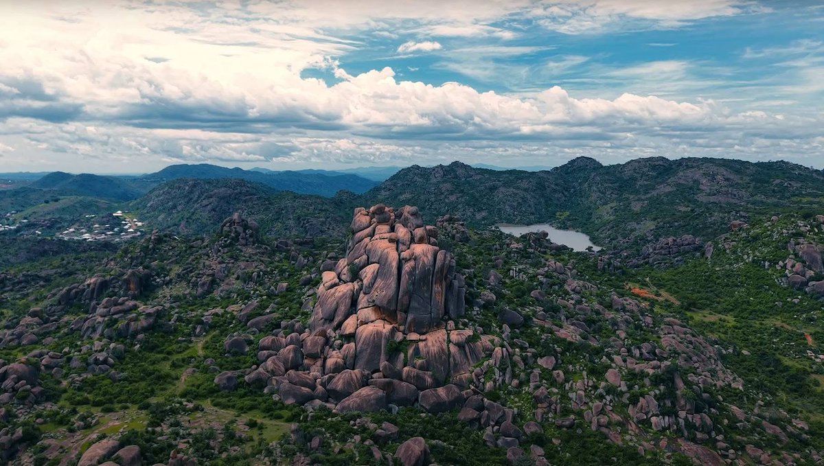 Freezle 🇳🇬 tweet media