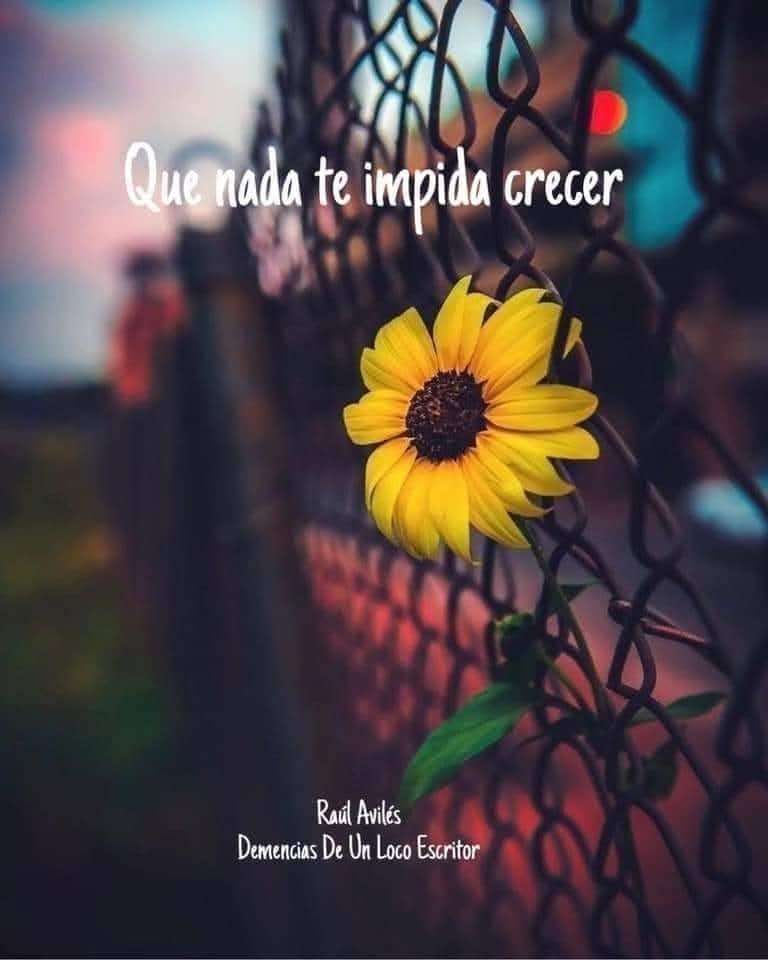 "Si ya sabes lo que tienes que hacer y no lo haces entonces estás peor que antes"Cariños MIL ¬0/
