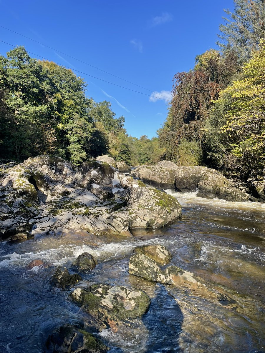 Perfect dog walk weather this morning