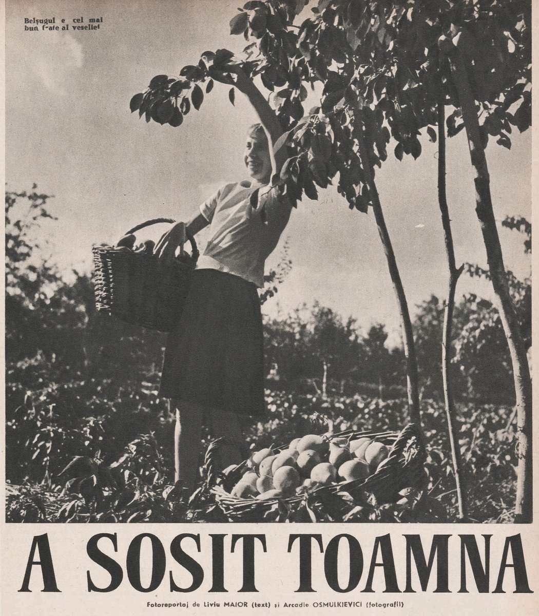 ROstalgic_'s tweet image. „Belșugul e cel mai bun frate al veseliei”
📖Revista Flacăra
1960