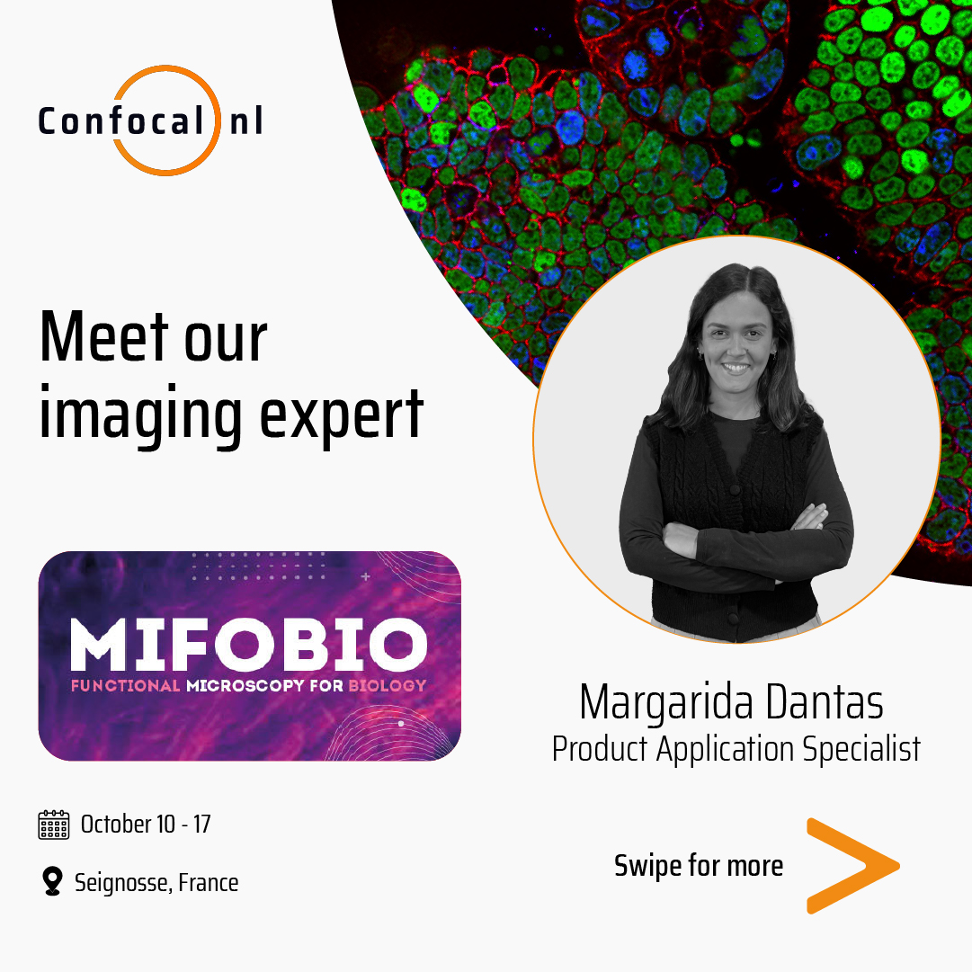 confocal_nl's tweet image. Are you attending #MiFoBio2025, taking place from October 11 to 18 in Seignosse, France?

Meet Margarida Dantas and Casper Penning, at Salle 4, and discover how our gentle confocal systems enable you to image faster and deeper into living specimens, with unmatched signal-to-noise…