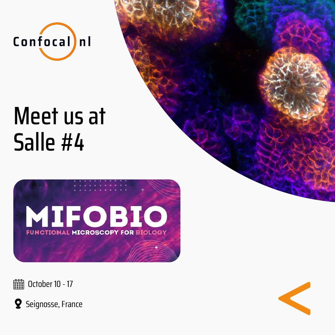 confocal_nl's tweet image. Are you attending #MiFoBio2025, taking place from October 11 to 18 in Seignosse, France?

Meet Margarida Dantas and Casper Penning, at Salle 4, and discover how our gentle confocal systems enable you to image faster and deeper into living specimens, with unmatched signal-to-noise…