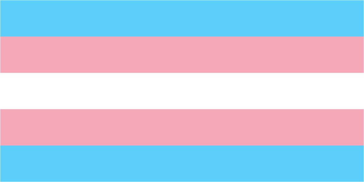 I consider this now a flag of terrorism.