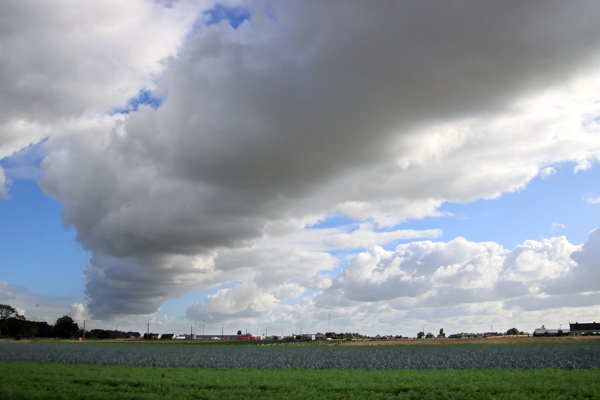 #vrtweer Luc Lambert 11u14 Ingelmunster  wolken en zon wind  NNO 17°