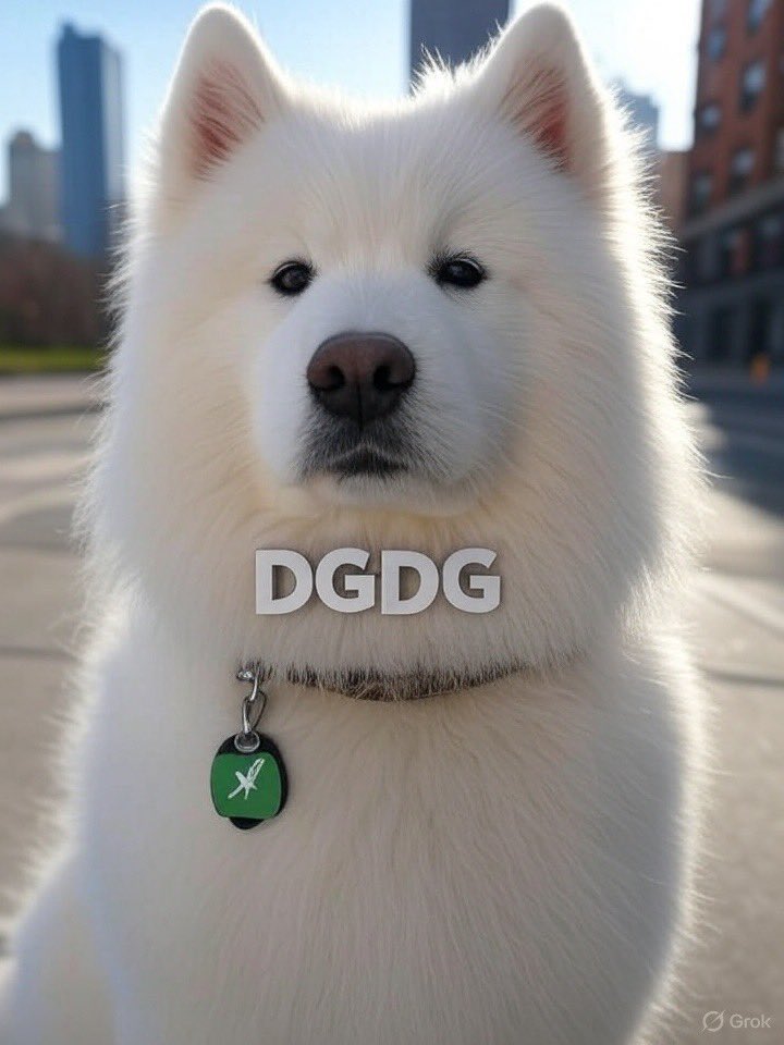 DOGI DOGI tweet media