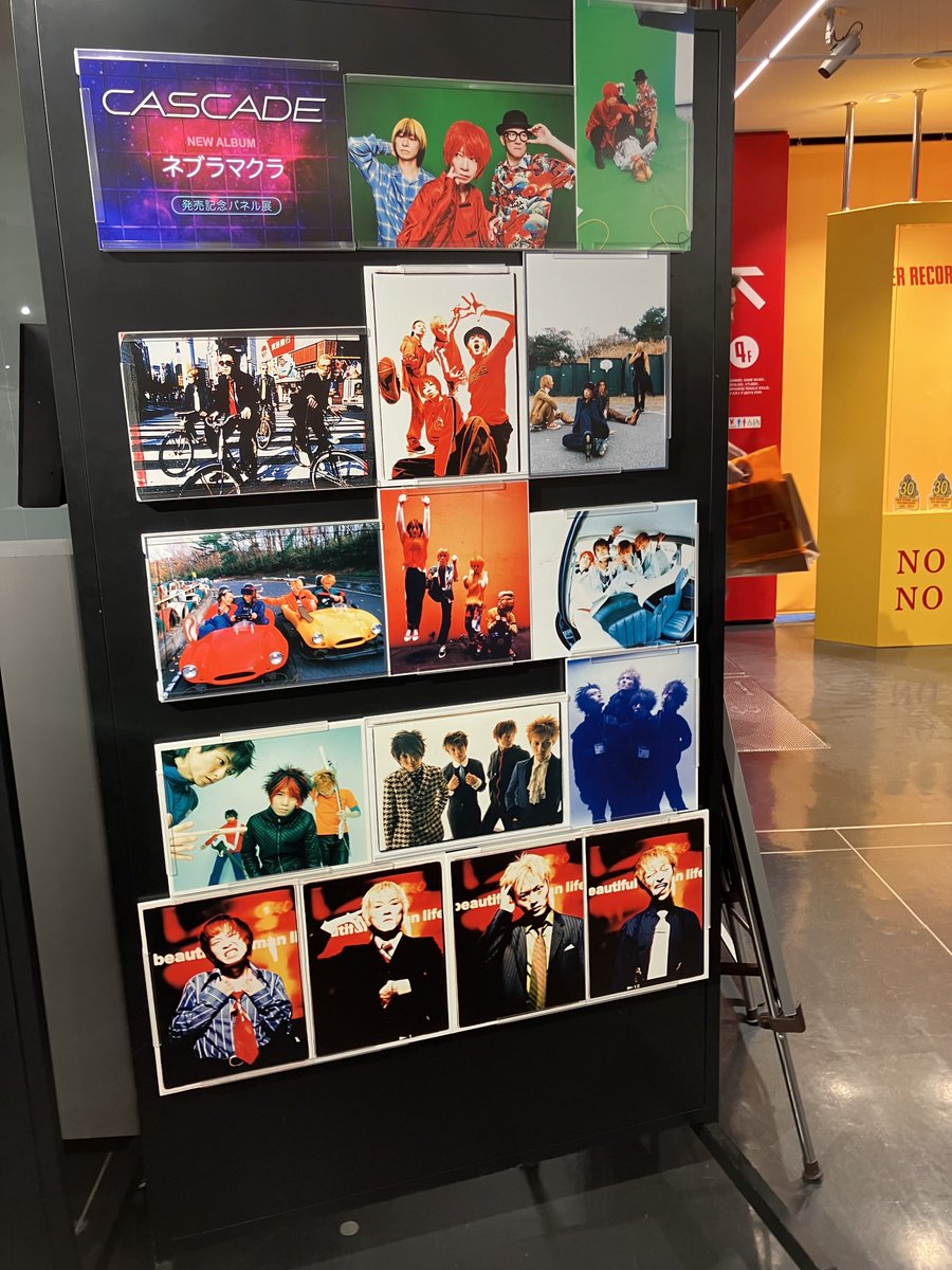 明日が祝日の為「ネブラマクラ」 今日がフラゲ日になります💿 写真は