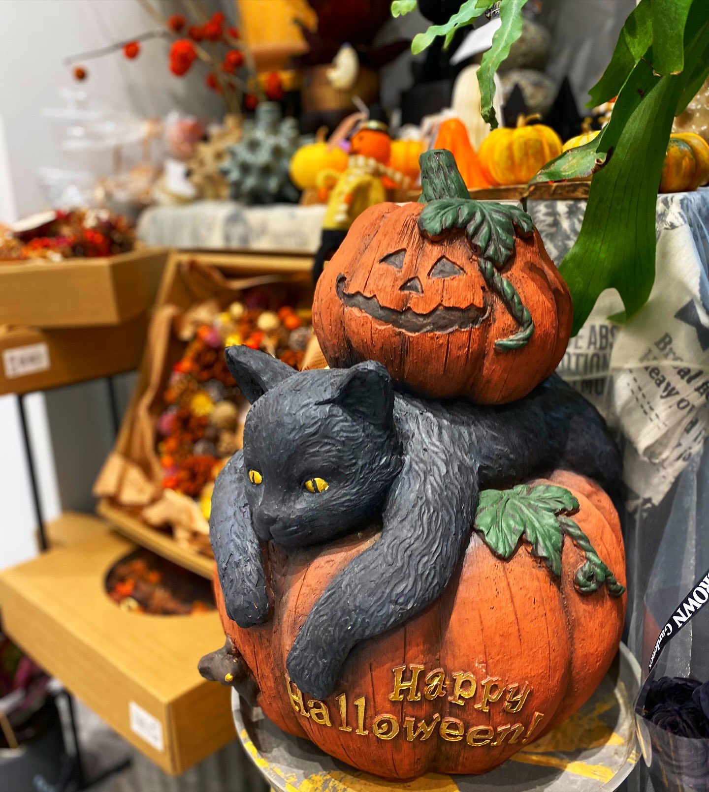 ハロウィン★カボチャくま ハロウィン かぼちゃの中からくまちゃんとかぼちゃセット 樹脂