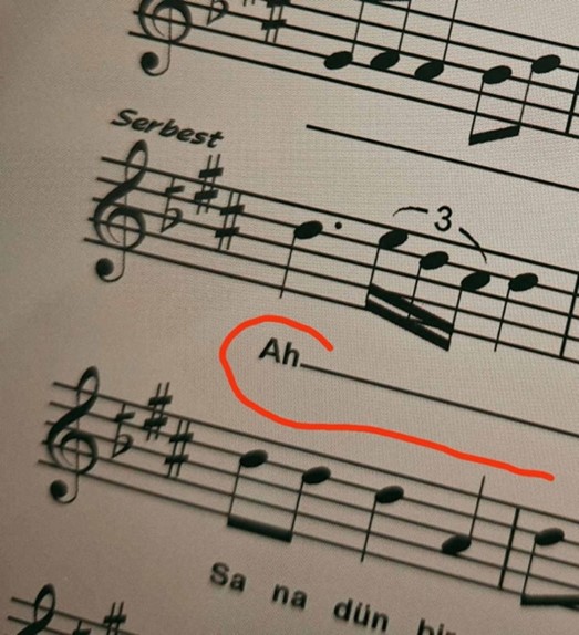 Department of Music, UCC tweet media