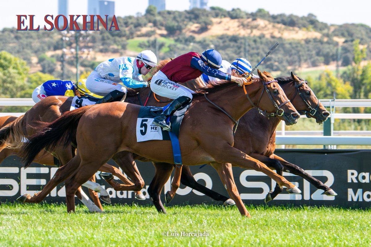 LUIS HORCAJADA (@luishorcajada66) on Twitter photo  LUIS HORCAJADA (@luishorcajada66) on Twitter photo