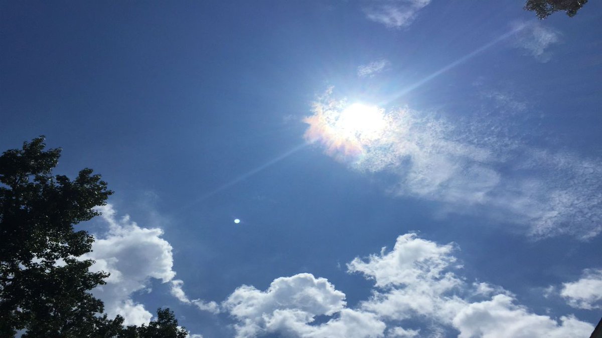 Aarohi Rajpurohit❤️ tweet media