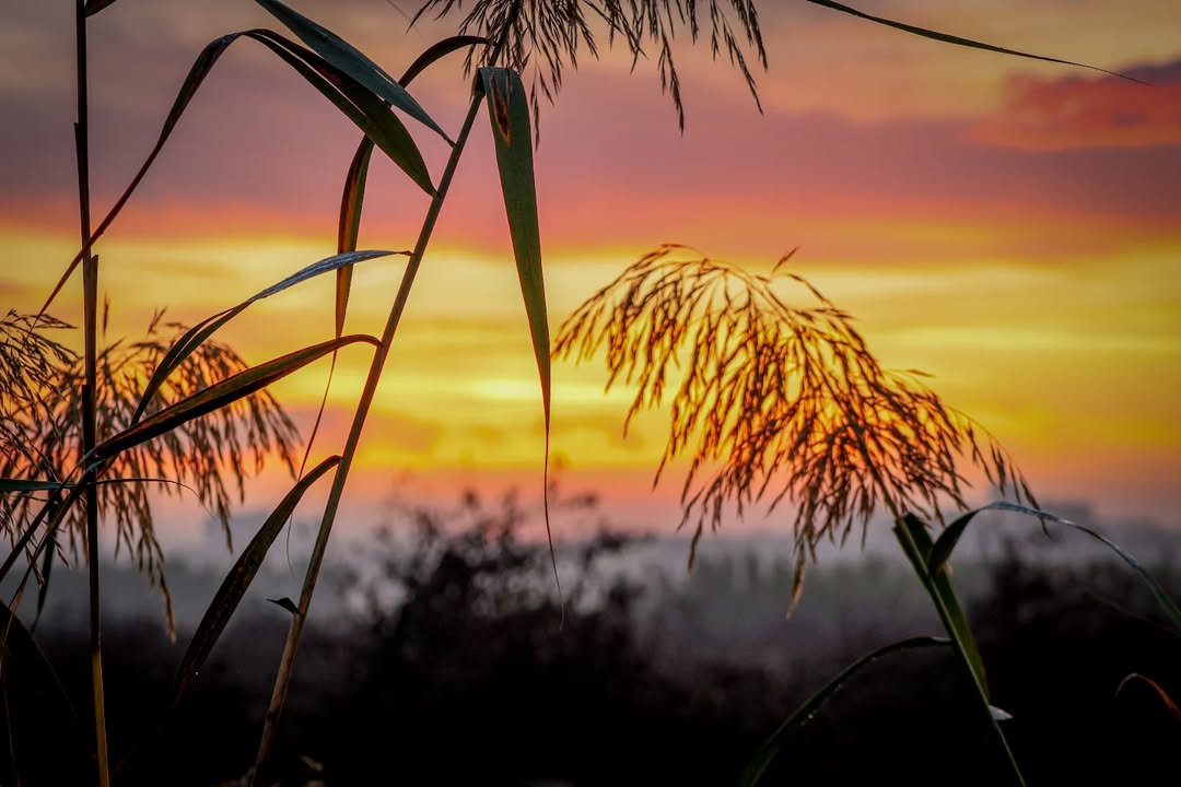 Bellesa contrastada.

📸 @mmballes #Segrià #TerradePonent

#SegriaTurisme #TerresdeLleida #Lleida #Turisme #AraLleida #ADNLleida #BiosphereDestination #postadesol #posta #sunset

@ccsegria <a href="/aralleida/">Ara Lleida</a> <a href="/catexperience/">Catalunya Experience</a>